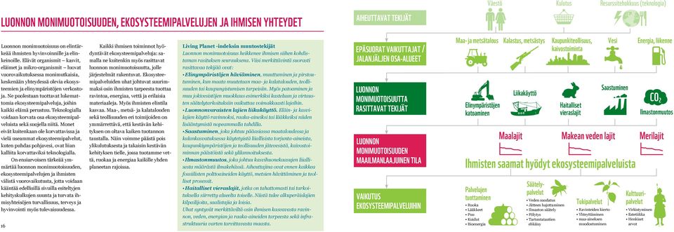 Ne puolestaan tuottavat lukemattomia ekosysteemipalveluja, joihin kaikki elämä perustuu. Teknologialla voidaan korvata osa ekosysteemipalveluista sekä suojella niitä.