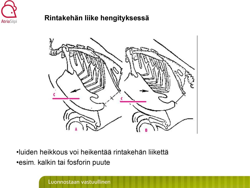 heikkous voi heikentää