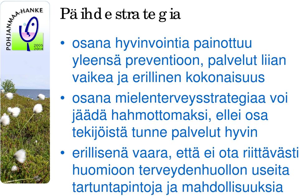 hahmottomaksi, ellei osa tekijöistä tunne palvelut hyvin erillisenä vaara, että