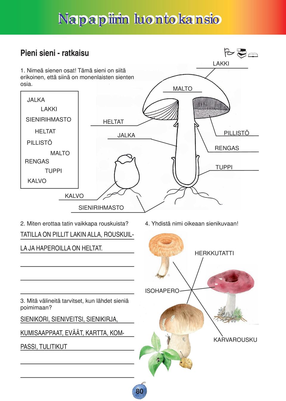 TATILLA ON PILLIT LAKIN ALLA, ROUSKUIL LA JA HAPEROILLA ON. 4. Yhdistä nimi oikeaan sienikuvaan! HERKKUTATTI 3.