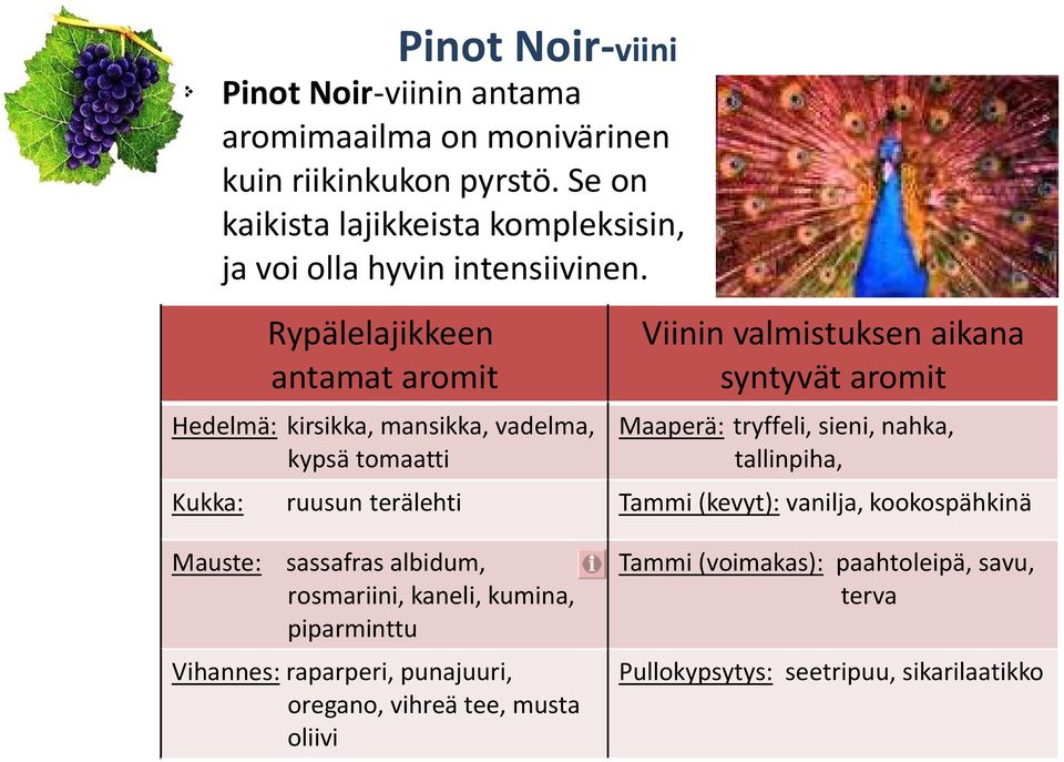 Rypälelajikkeen antamat aromit Hedelmä: kirsikka, mansikka, vadelma, kypsä tomaatti Viinin valmistuksen aikana syntyvät aromit Maaperä: tryffeli, sieni,