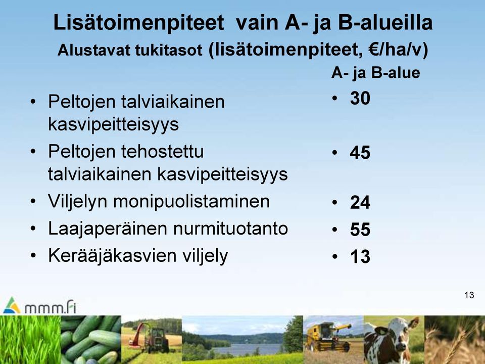 Peltojen tehostettu talviaikainen kasvipeitteisyys Viljelyn