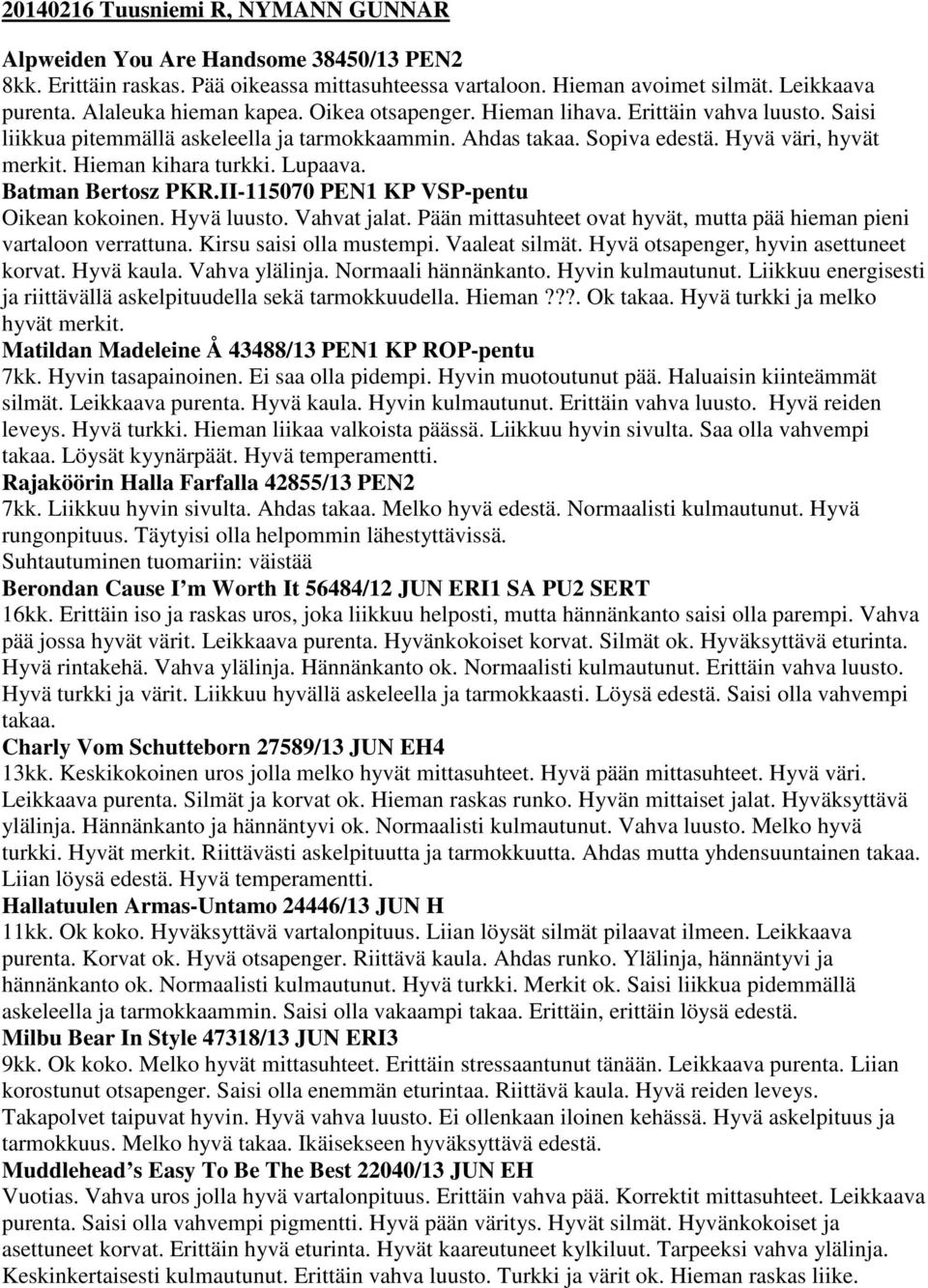 Hieman kihara turkki. Lupaava. Batman Bertosz PKR.II-115070 PEN1 KP VSP-pentu Oikean kokoinen. Hyvä luusto. Vahvat jalat. Pään mittasuhteet ovat hyvät, mutta pää hieman pieni vartaloon verrattuna.