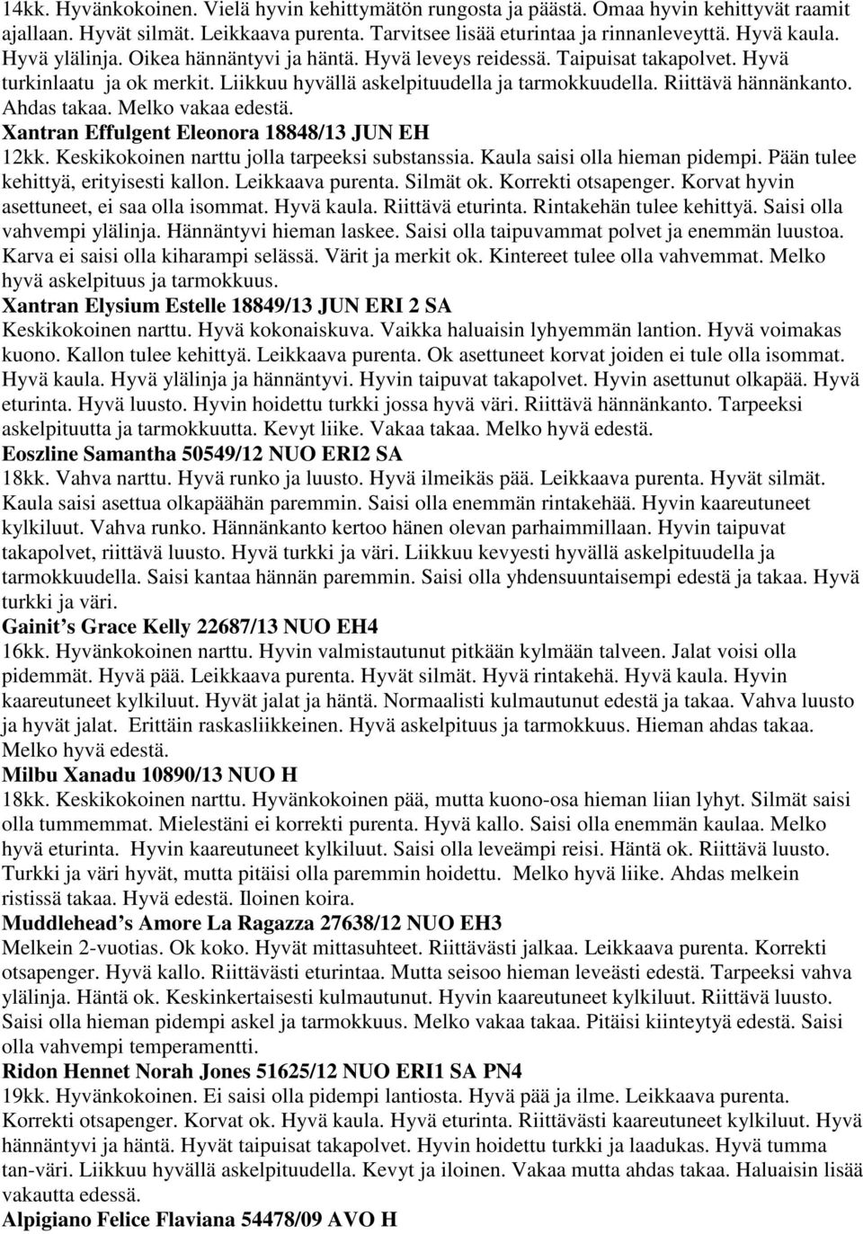 Ahdas takaa. Melko vakaa edestä. Xantran Effulgent Eleonora 18848/13 JUN EH 12kk. Keskikokoinen narttu jolla tarpeeksi substanssia. Kaula saisi olla hieman pidempi.