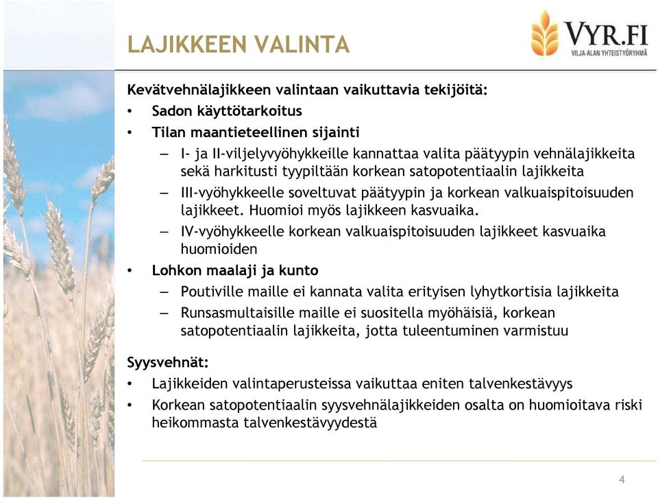 IV-vyöhykkeelle korkean valkuaispitoisuuden lajikkeet kasvuaika huomioiden Lohkon maalaji ja kunto Poutiville maille ei kannata valita erityisen lyhytkortisia lajikkeita Runsasmultaisille maille ei