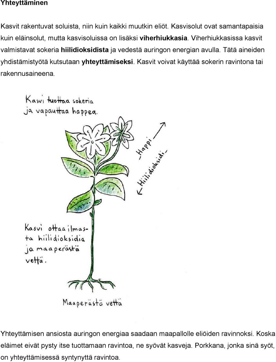 Viherhiukkasissa kasvit valmistavat sokeria hiilidioksidista ja vedestä auringon energian avulla.