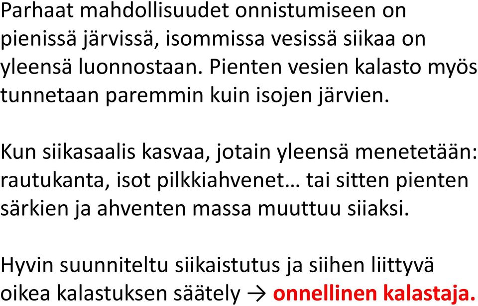 Kun siikasaalis kasvaa, jotain yleensä menetetään: rautukanta, isot pilkkiahvenet tai sitten pienten