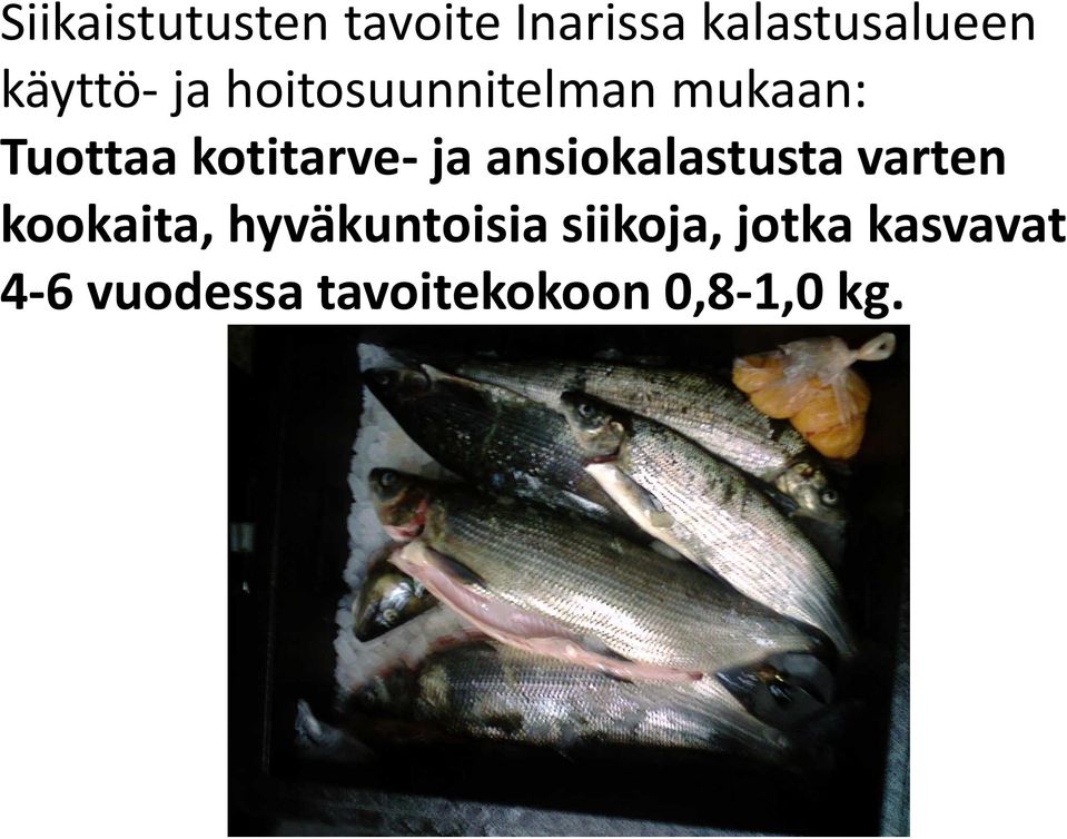 kotitarve- ja ansiokalastusta varten kookaita,