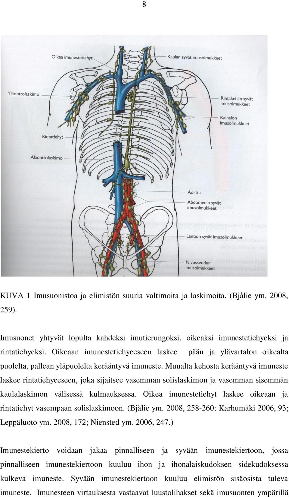 Muualta kehosta kerääntyvä imuneste laskee rintatiehyeeseen, joka sijaitsee vasemman solislaskimon ja vasemman sisemmän kaulalaskimon välisessä kulmauksessa.