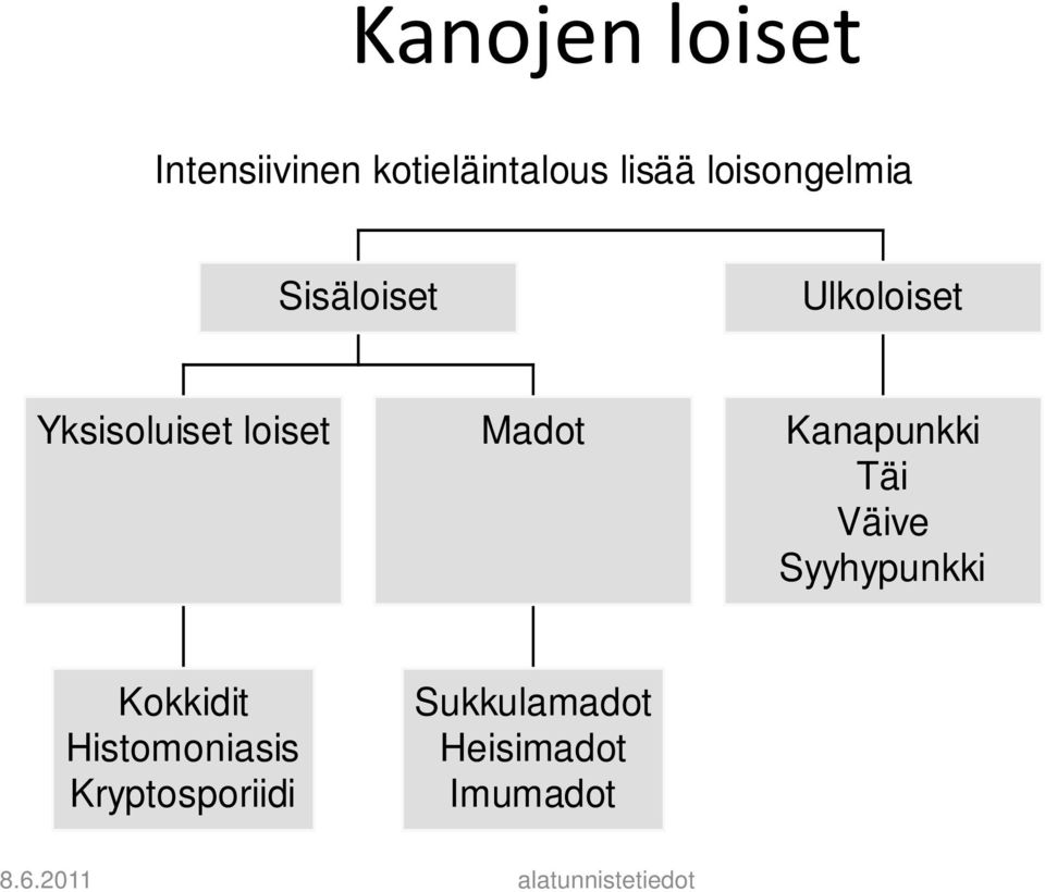 Kanapunkki Täi Väive Syyhypunkki Kokkidit Histomoniasis