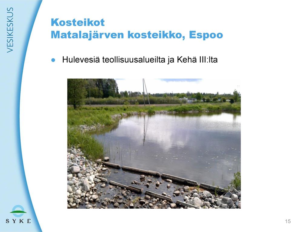 kosteikko, Espoo