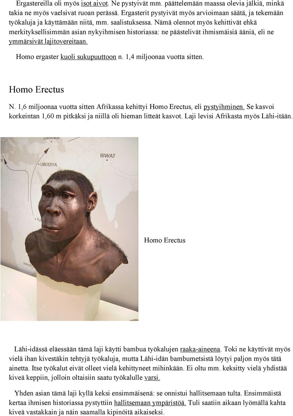Nämä olennot myös kehittivät ehkä merkityksellisimmän asian nykyihmisen historiassa: ne päästelivät ihmismäisiä ääniä, eli ne ymmärsivät lajitovereitaan. Homo ergaster kuoli sukupuuttoon n.