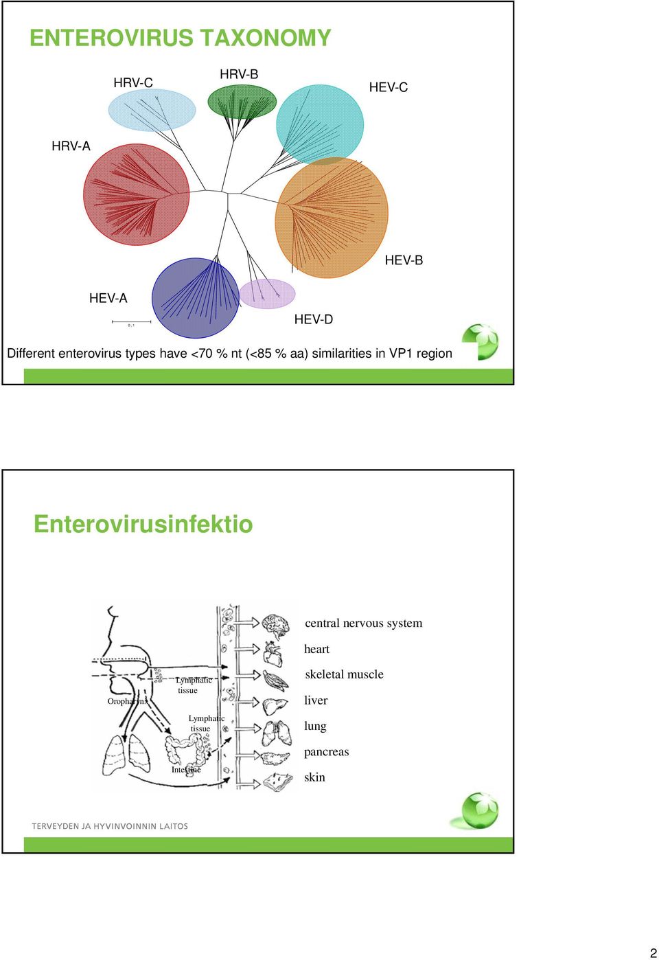 region Enterovirusinfektio central nervous system heart Oropharynx