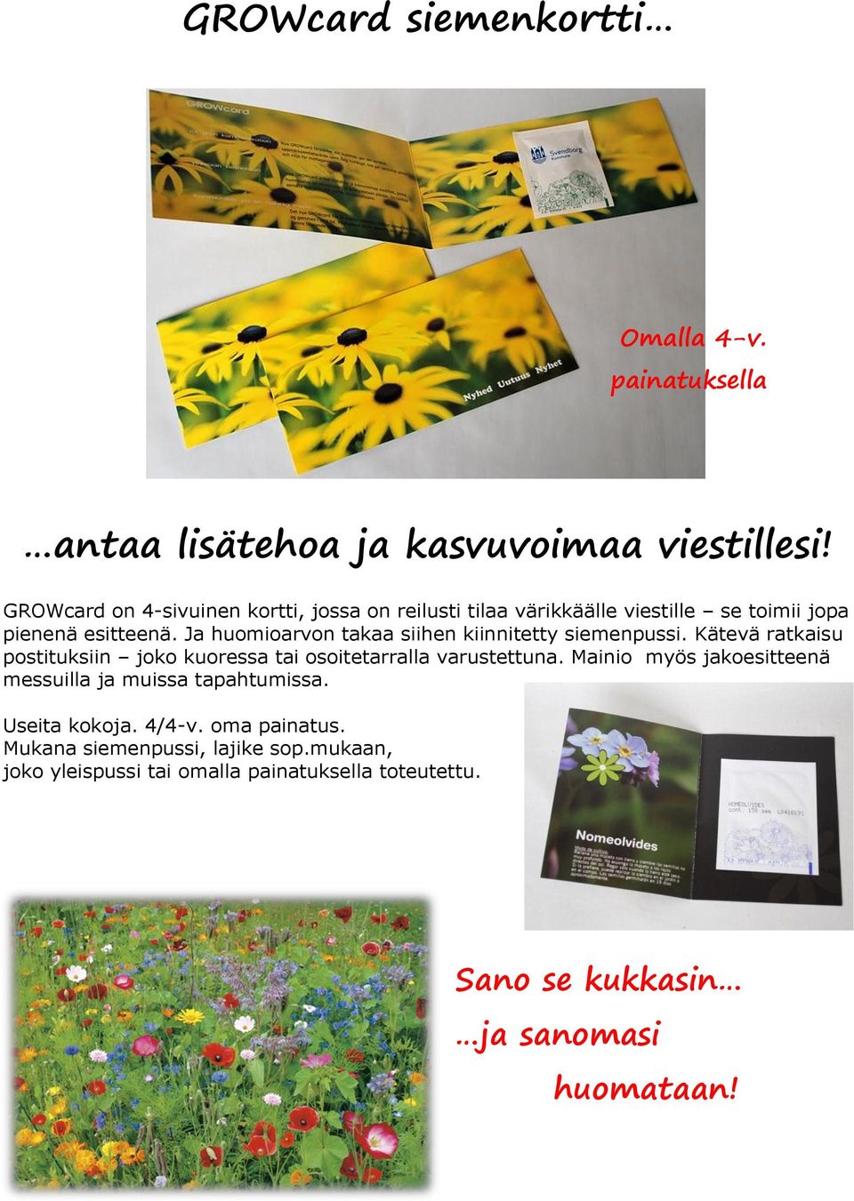 Ja huomioarvon takaa siihen kiinnitetty siemenpussi. Kätevä ratkaisu postituksiin joko kuoressa tai osoitetarralla varustettuna.