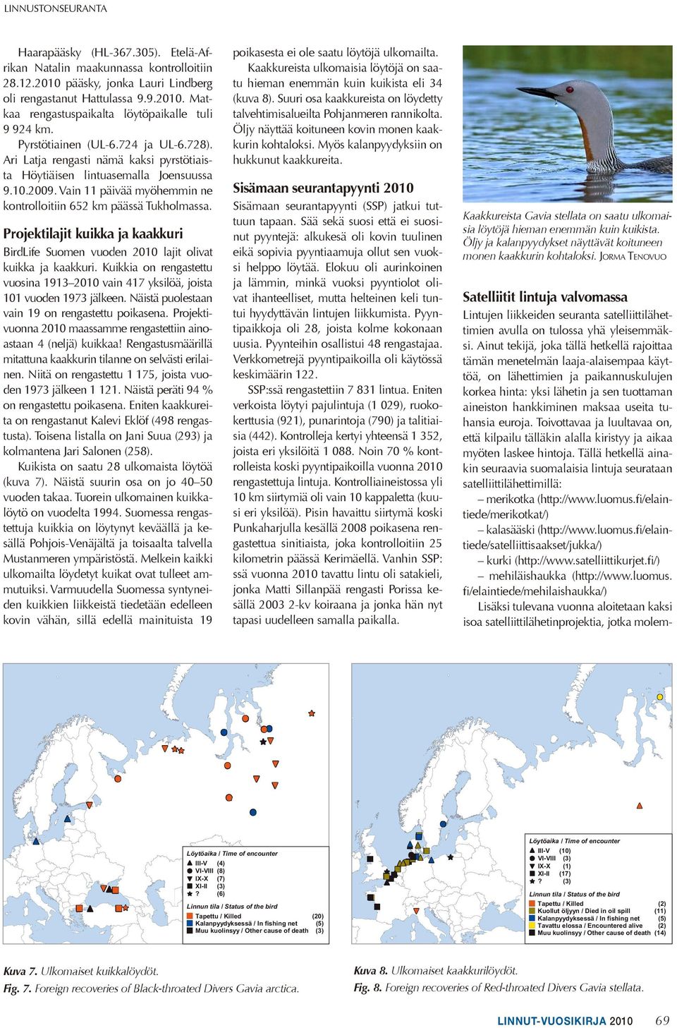 Vain 11 päivää myöhemmin ne kontrolloitiin 652 km päässä Tukholmassa. poikasesta ei ole saatu löytöjä ulkomailta. Kaakkureista ulkomaisia löytöjä on saatu hieman enemmän kuin kuikista eli 34 kuva 8.