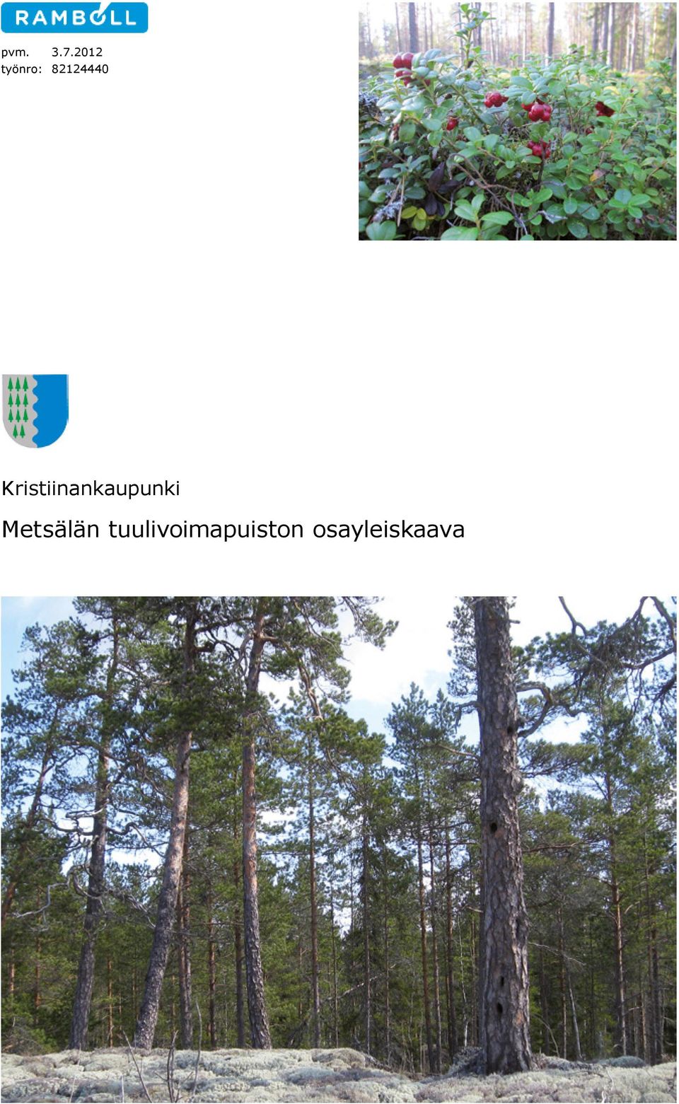 Kristiinankaupunki