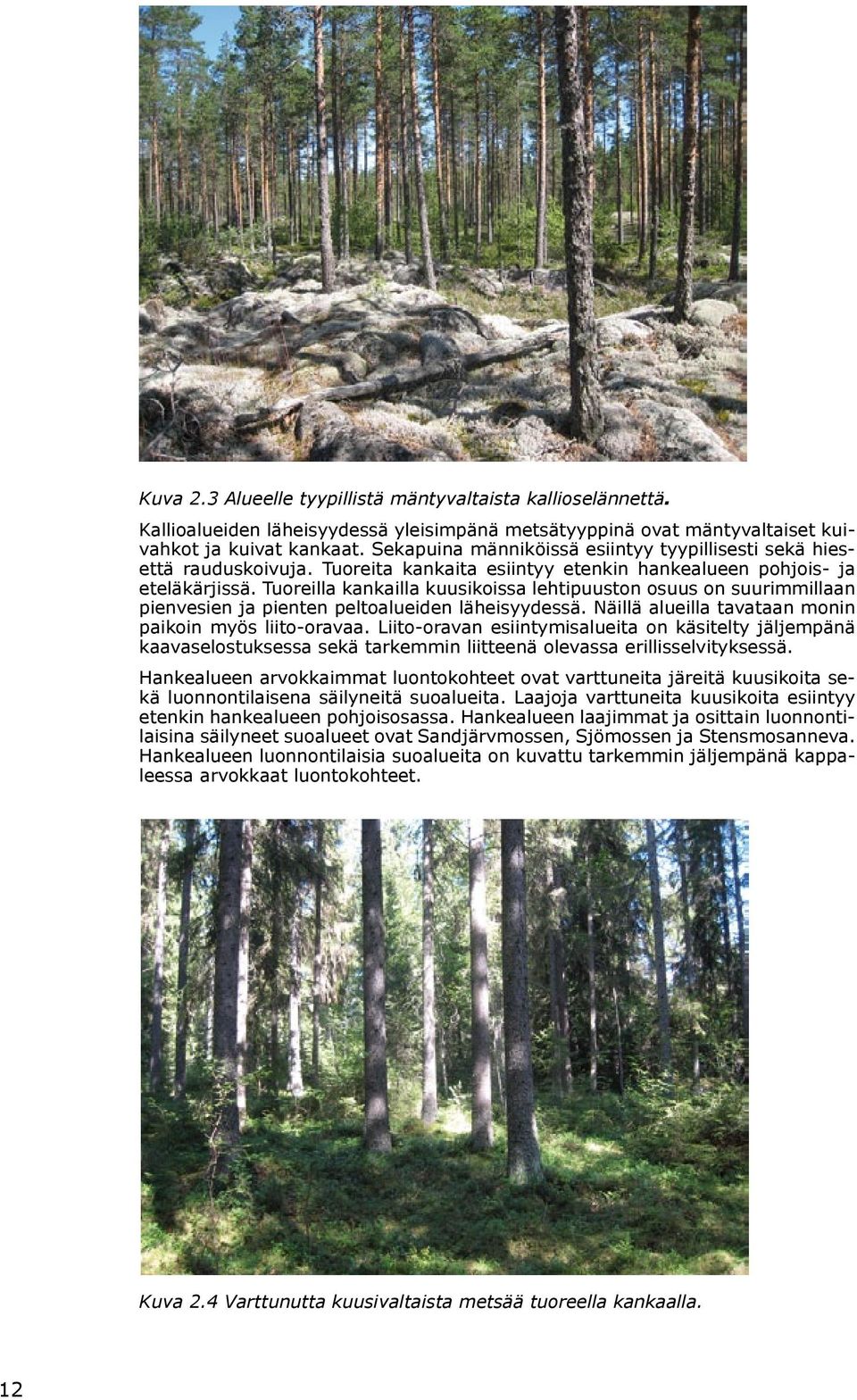 Tuoreilla kankailla kuusikoissa lehtipuuston osuus on suurimmillaan pienvesien ja pienten peltoalueiden läheisyydessä. Näillä alueilla tavataan monin paikoin myös liito-oravaa.