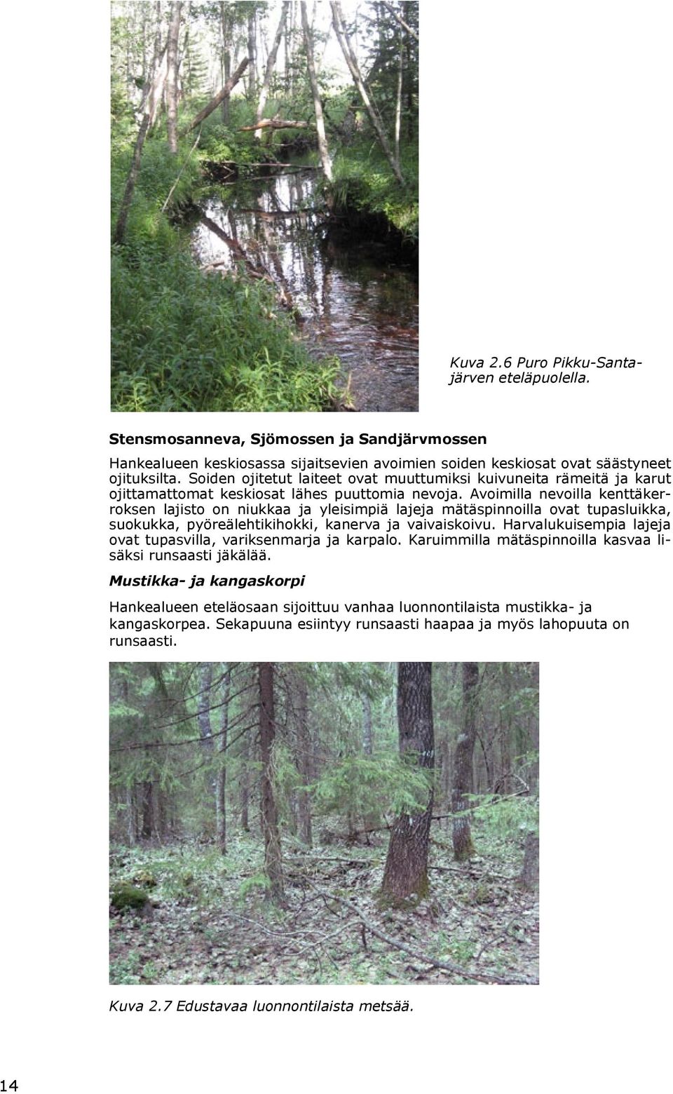 Avoimilla nevoilla kenttäkerroksen lajisto on niukkaa ja yleisimpiä lajeja mätäspinnoilla ovat tupasluikka, suokukka, pyöreälehtikihokki, kanerva ja vaivaiskoivu.