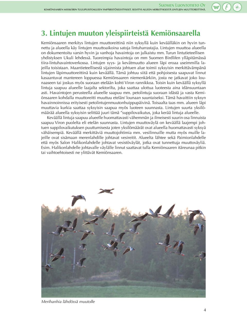 Tuoreimpia havaintoja on mm Suomen Birdlifen ylläpitämässä tiira-lintuhavaintoverkossa. Lintujen syys- ja kevätmuutto alueen läpi eroaa useimmilla lajeilla toisistaan.