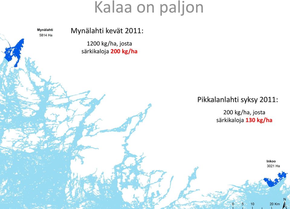 200 kg/ha Pikkalanlahti syksy 2011: