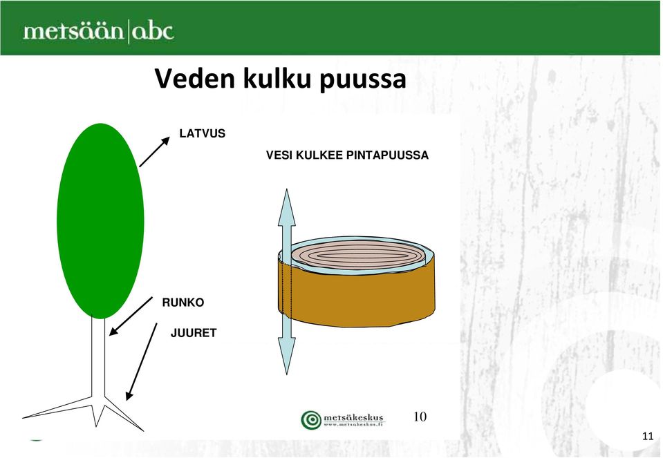 VESI KULKEE