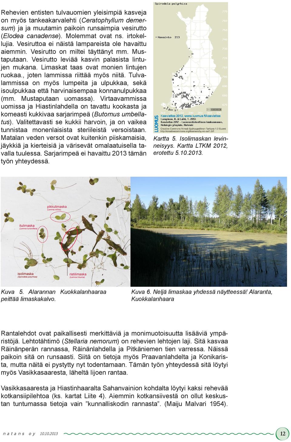 , joten lammissa riittää myös niitä. Tulvalammissa on myös lumpeita ja ulpukkaa, sekä isoulpukkaa että harvinaisempaa konnanulpukkaa (mm. Mustaputaan uomassa).