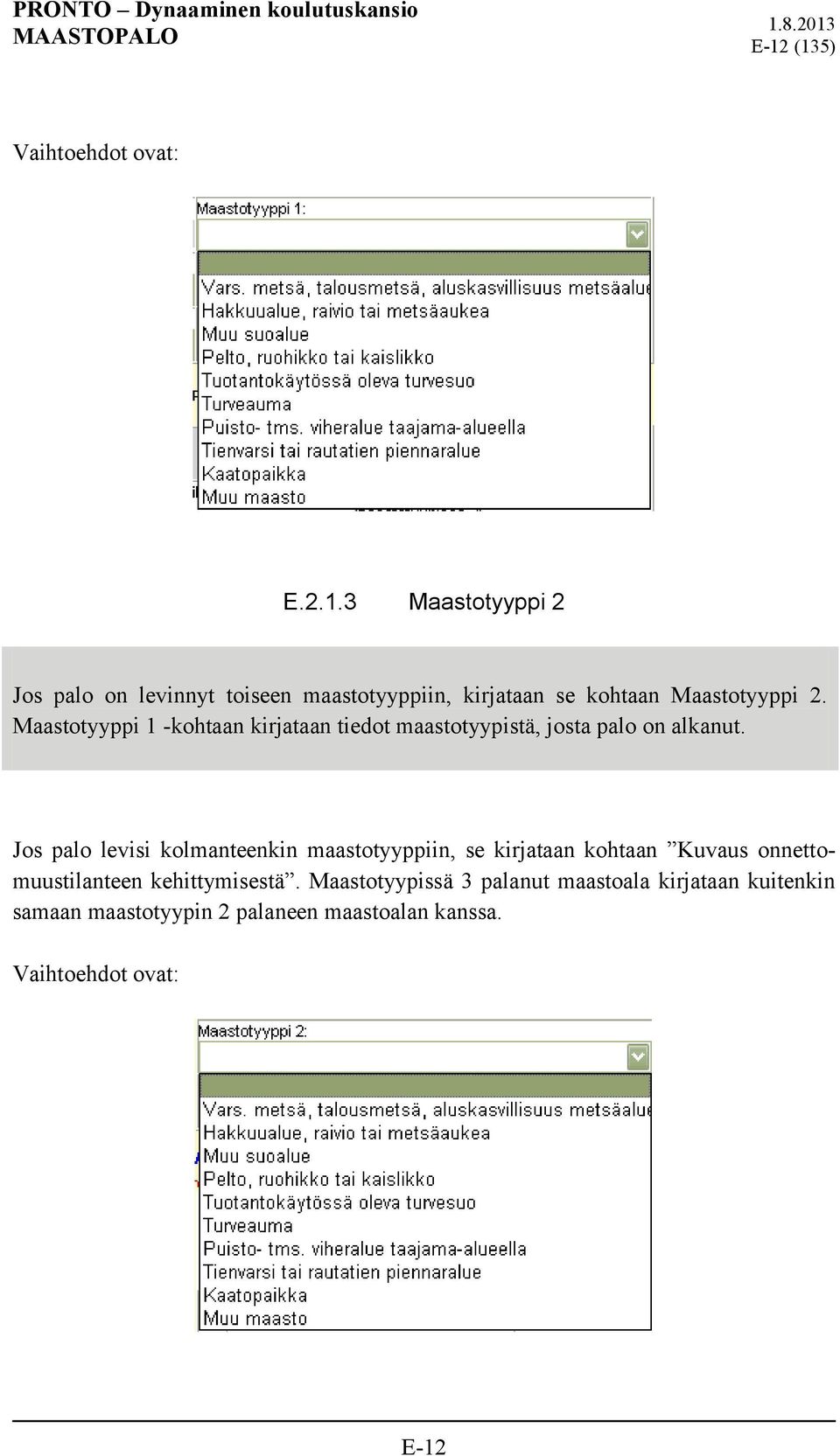 Jos palo levisi kolmanteenkin maastotyyppiin, se kirjataan kohtaan Kuvaus onnettomuustilanteen kehittymisestä.