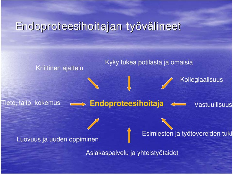 kokemus Endoproteesihoitaja Vastuullisuus Luovuus ja uuden