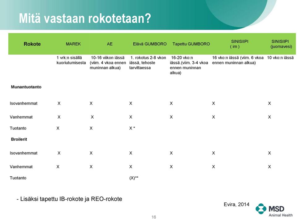 4 vkoa ennen muninnan alkua) 1. rokotus 2-8 vkon iässä, tehoste tarvittaessa 16-20 vko:n iässä.(viim.