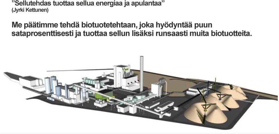 biotuotetehtaan, joka hyödyntää puun