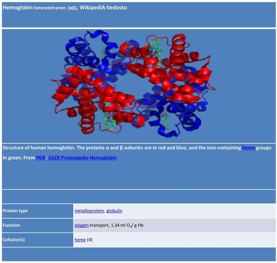 The proteins α and β subunits are in red and blue, and the iron-containing heme