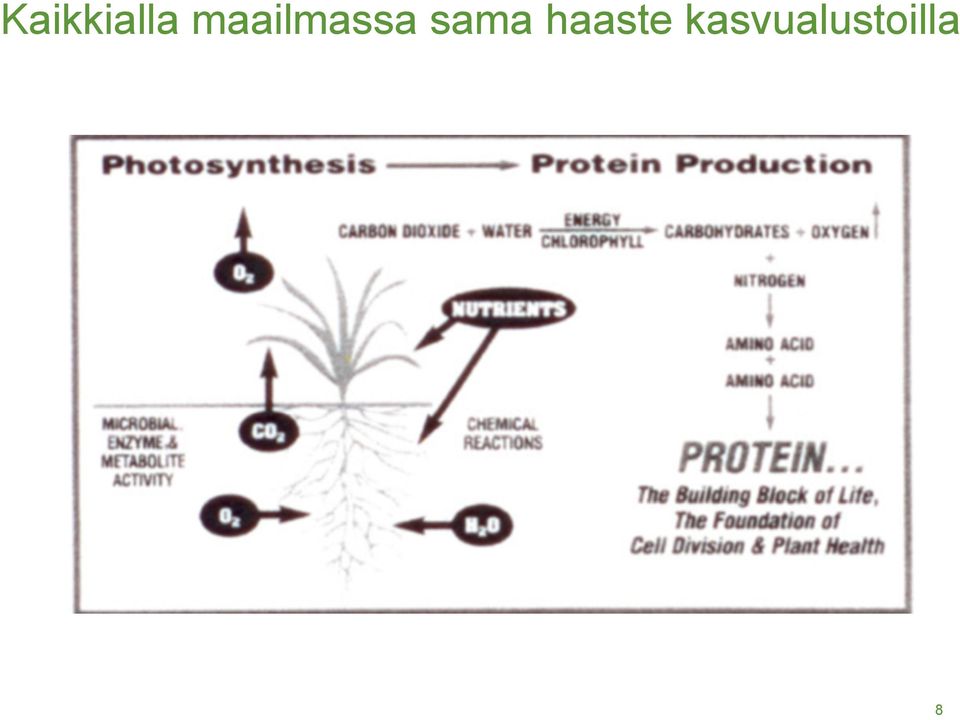 sama haaste