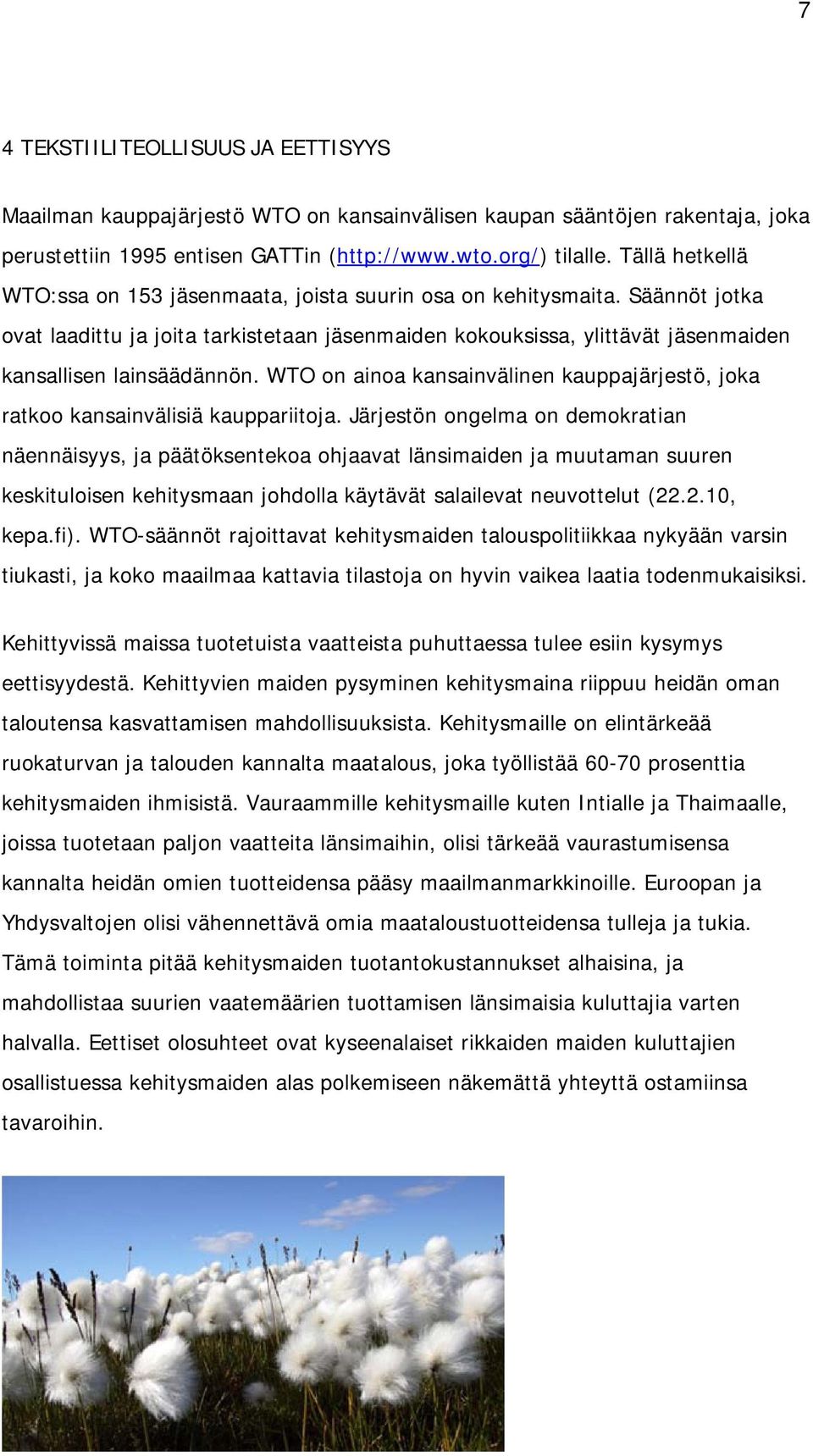 WTO on ainoa kansainvälinen kauppajärjestö, joka ratkoo kansainvälisiä kauppariitoja.