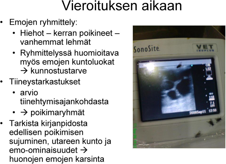 tiinehtymisajankohdasta poikimaryhmät Tarkista kirjanpidosta edellisen