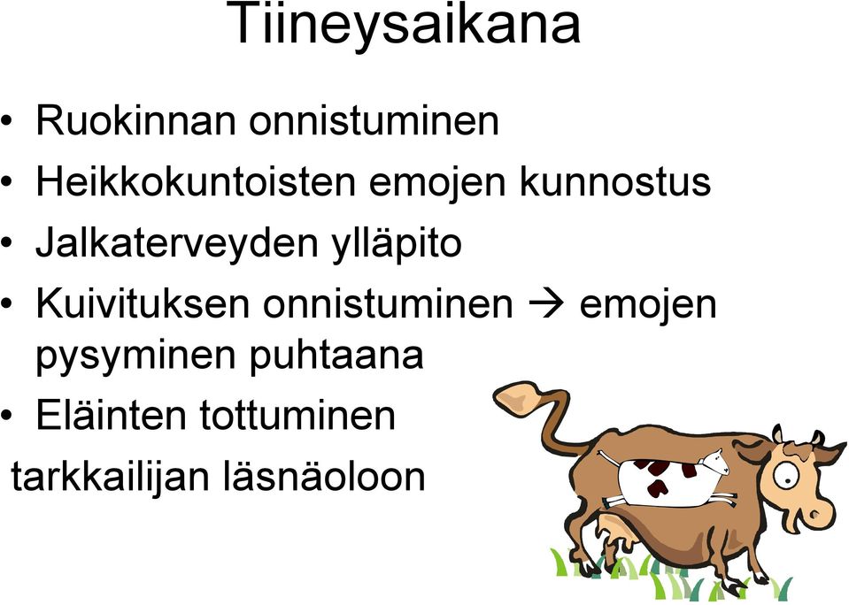 Jalkaterveyden ylläpito Kuivituksen