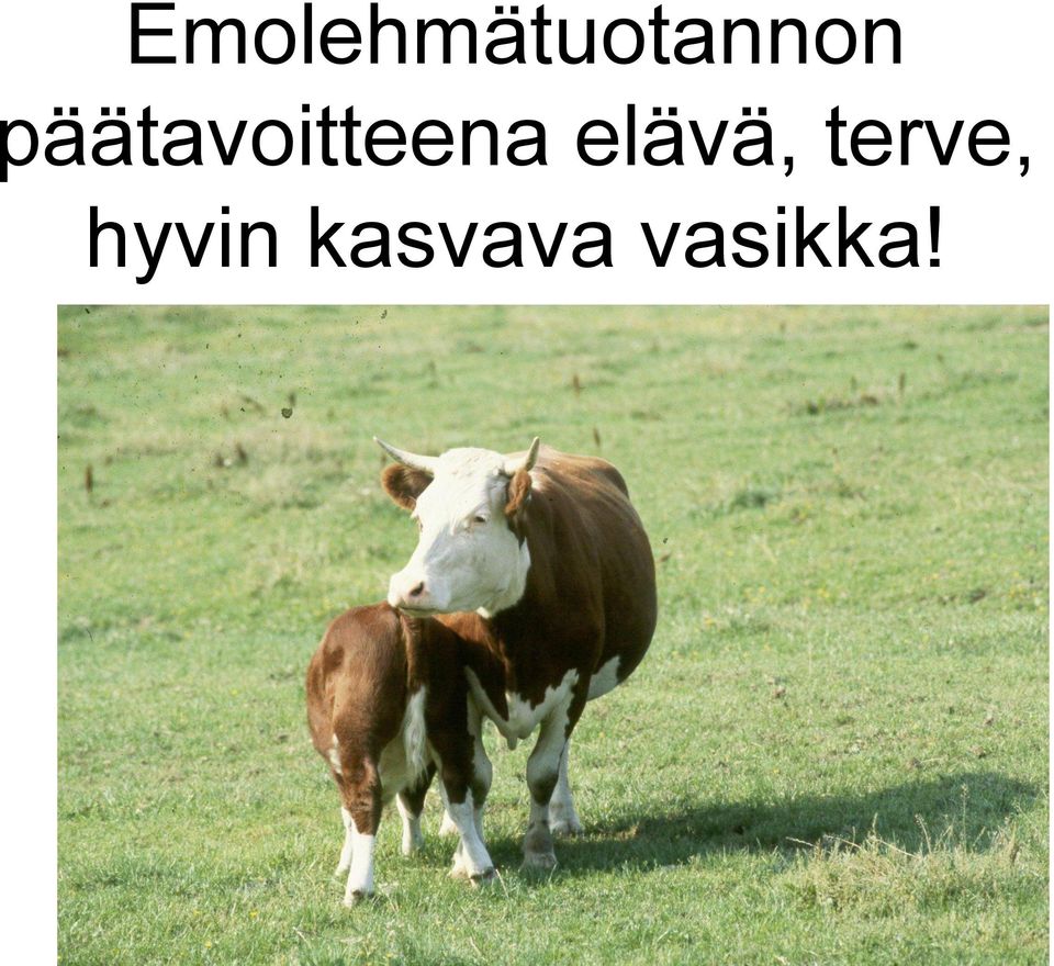 elävä, terve,