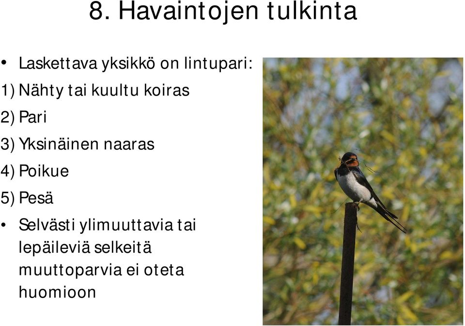 Yksinäinen naaras 4) Poikue 5) Pesä Selvästi