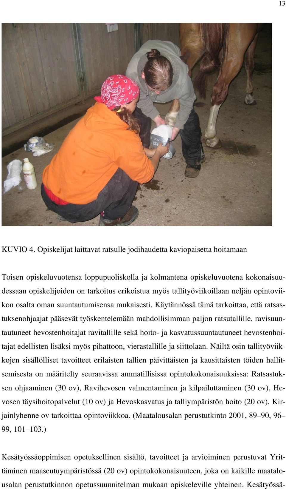 myös tallityöviikoillaan neljän opintoviikon osalta oman suuntautumisensa mukaisesti.