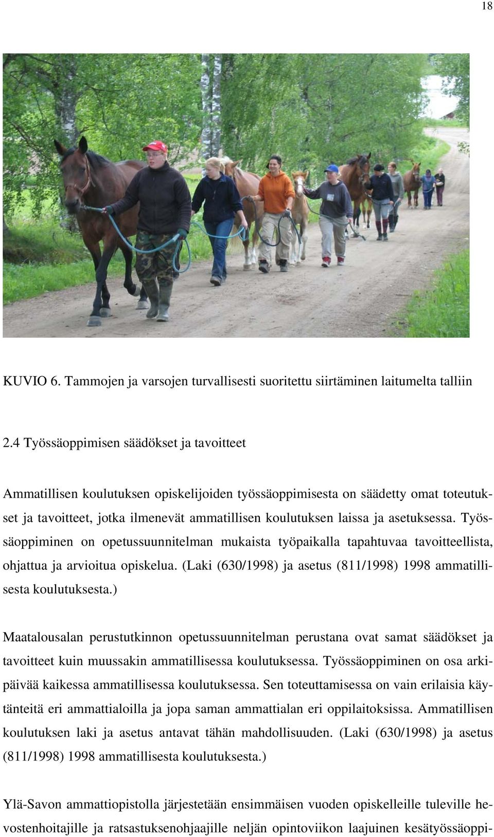 asetuksessa. Työssäoppiminen on opetussuunnitelman mukaista työpaikalla tapahtuvaa tavoitteellista, ohjattua ja arvioitua opiskelua.