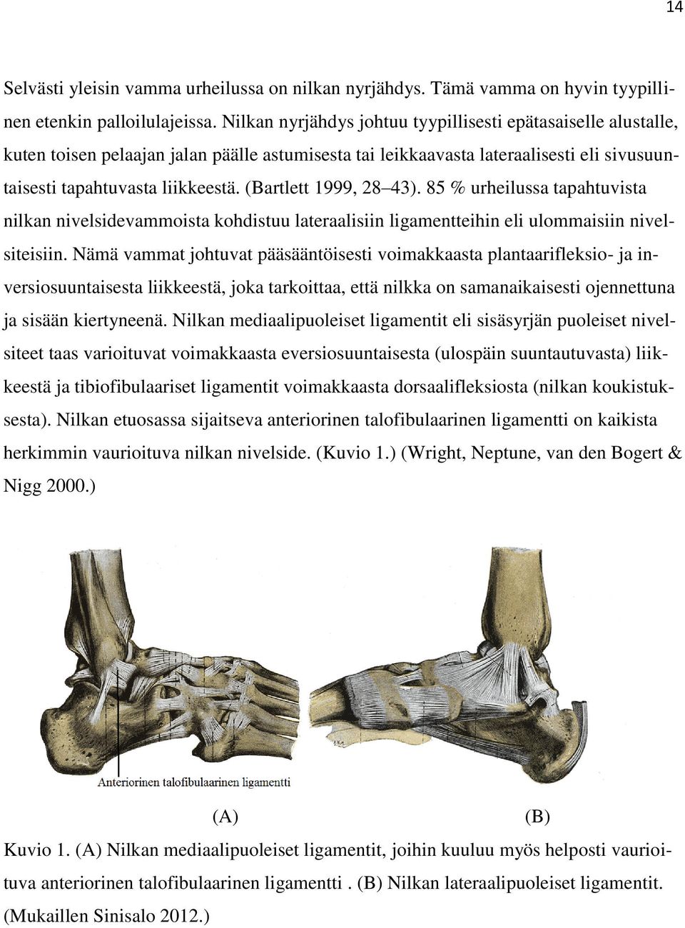 (Bartlett 1999, 28 43). 85 % urheilussa tapahtuvista nilkan nivelsidevammoista kohdistuu lateraalisiin ligamentteihin eli ulommaisiin nivelsiteisiin.