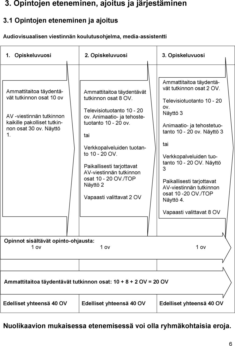 Televisiotuotanto 10-20 ov. Animaatio- ja tehostetuotanto 10-20 ov. tai Verkkopalveluiden tuotanto 10-20 OV. Paikallisesti tarjottavat AV-viestinnän tutkinnon osat 10-20 OV.