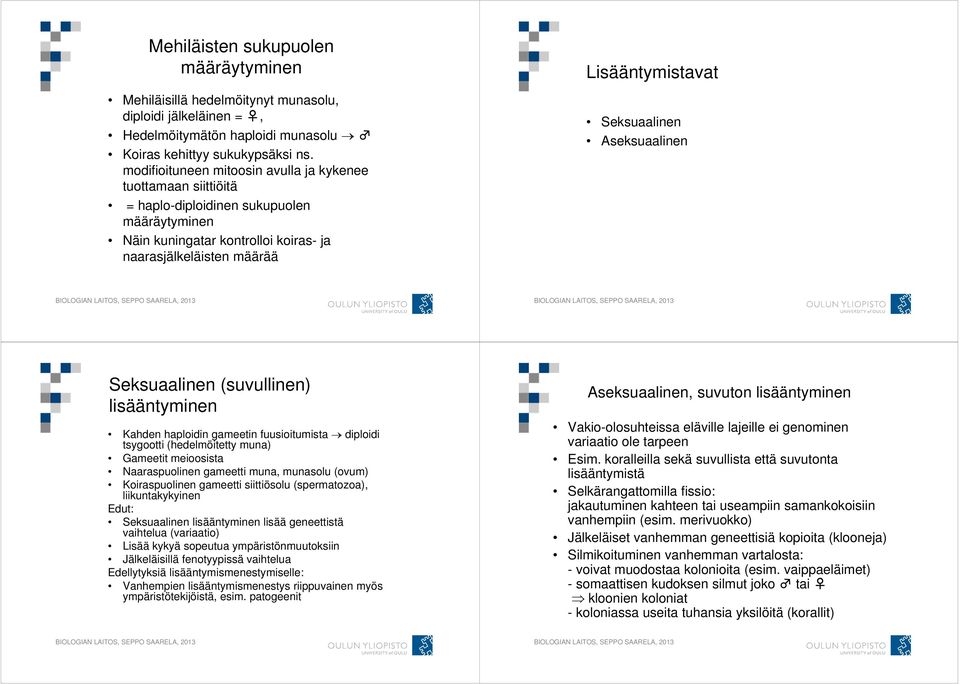 Seksuaalinen Aseksuaalinen Seksuaalinen (suvullinen) lisääntyminen Kahden haploidin gameetin fuusioitumista diploidi tsygootti (hedelmöitetty muna) Gameetit meioosista Naaraspuolinen gameetti muna,