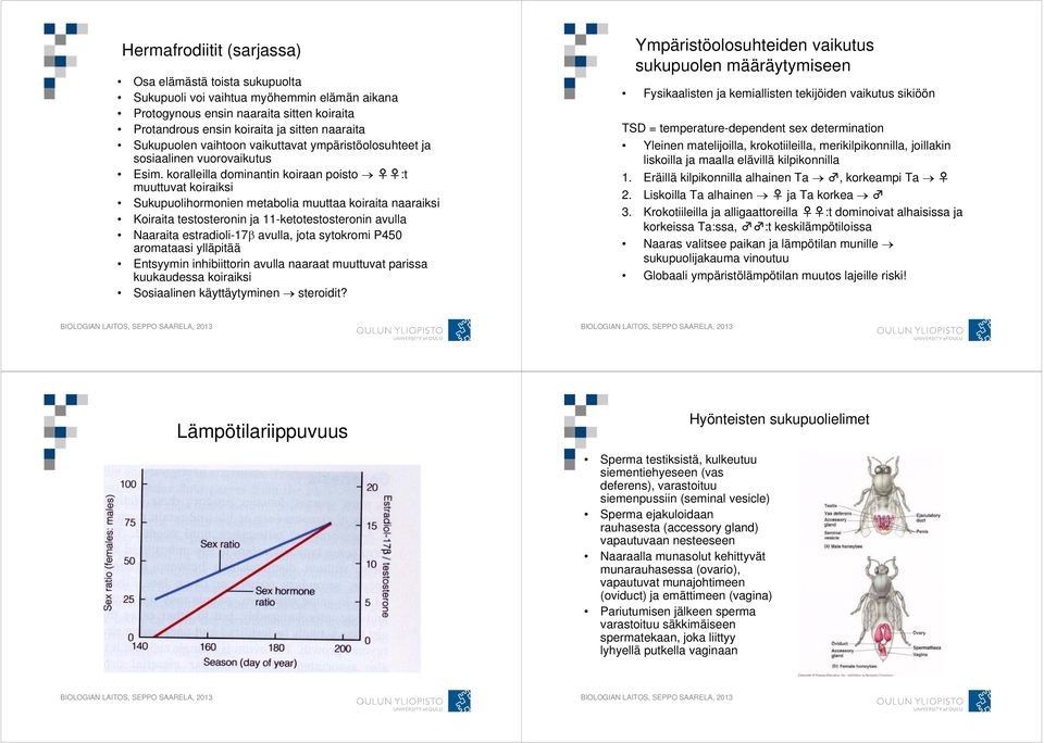 koralleilla dominantin koiraan poisto :t muuttuvat koiraiksi Sukupuolihormonien metabolia muuttaa koiraita naaraiksi Koiraita testosteronin ja 11-ketotestosteronin avulla Naaraita estradioli-17