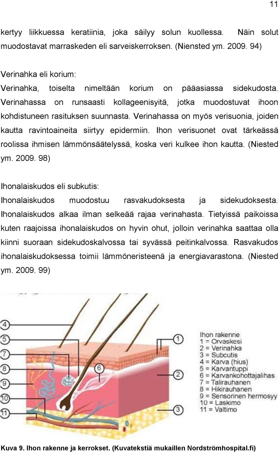 Verinahassa on myös verisuonia, joiden kautta ravintoaineita siirtyy epidermiin. Ihon verisuonet ovat tärkeässä roolissa ihmisen lämmönsäätelyssä, koska veri kulkee ihon kautta. (Niested ym. 2009.