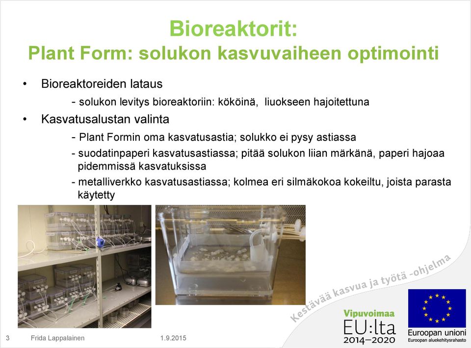 solukko ei pysy astiassa - suodatinpaperi kasvatusastiassa; pitää solukon liian märkänä, paperi hajoaa