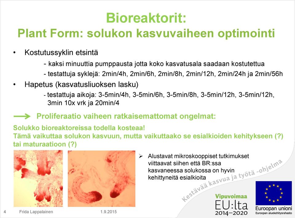 3-5min/12h, 3min 10x vrk ja 20min/4 Proliferaatio vaiheen ratkaisemattomat ongelmat: Solukko bioreaktoreissa todella kosteaa!