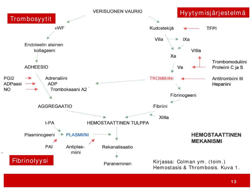 Fibrinolyysi Kirjassa: