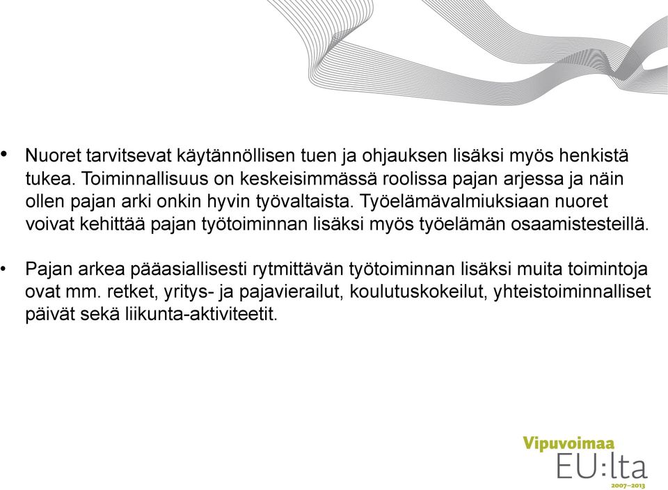 Työelämävalmiuksiaan nuoret voivat kehittää pajan työtoiminnan lisäksi myös työelämän osaamistesteillä.