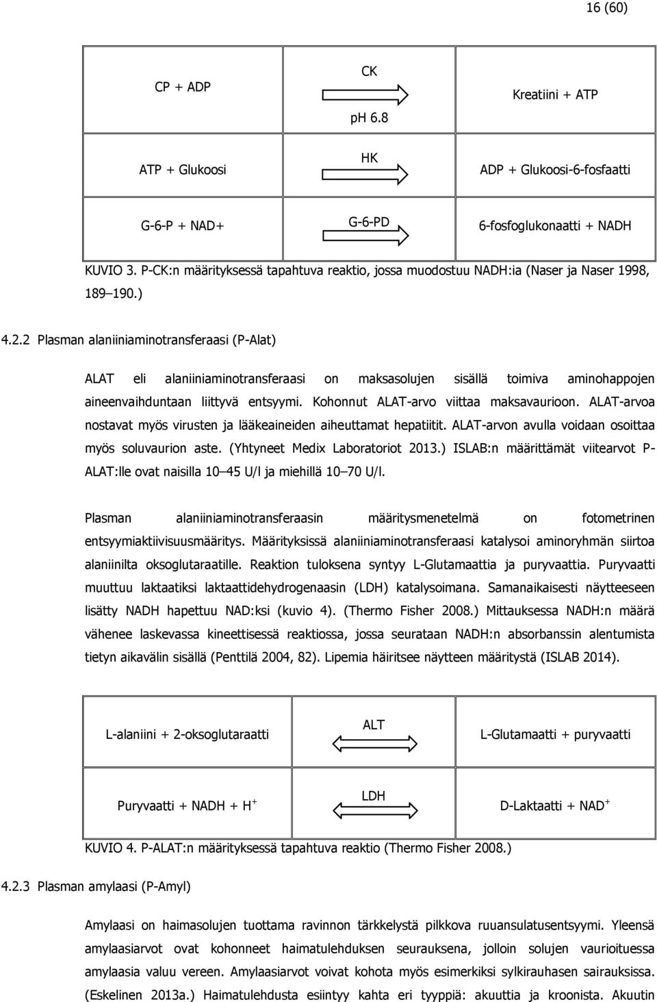 2 Plasman alaniiniaminotransferaasi (P-Alat) ALAT eli alaniiniaminotransferaasi on maksasolujen sisällä toimiva aminohappojen aineenvaihduntaan liittyvä entsyymi.