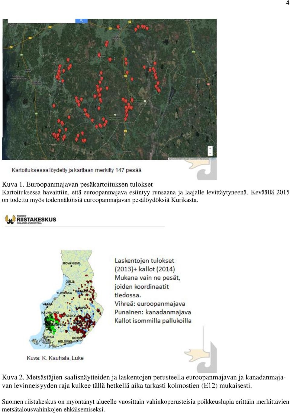 Keväällä 2015 on todettu myös todennäköisiä euroopanmajavan pesälöydöksiä Kurikasta. Kuva 2.